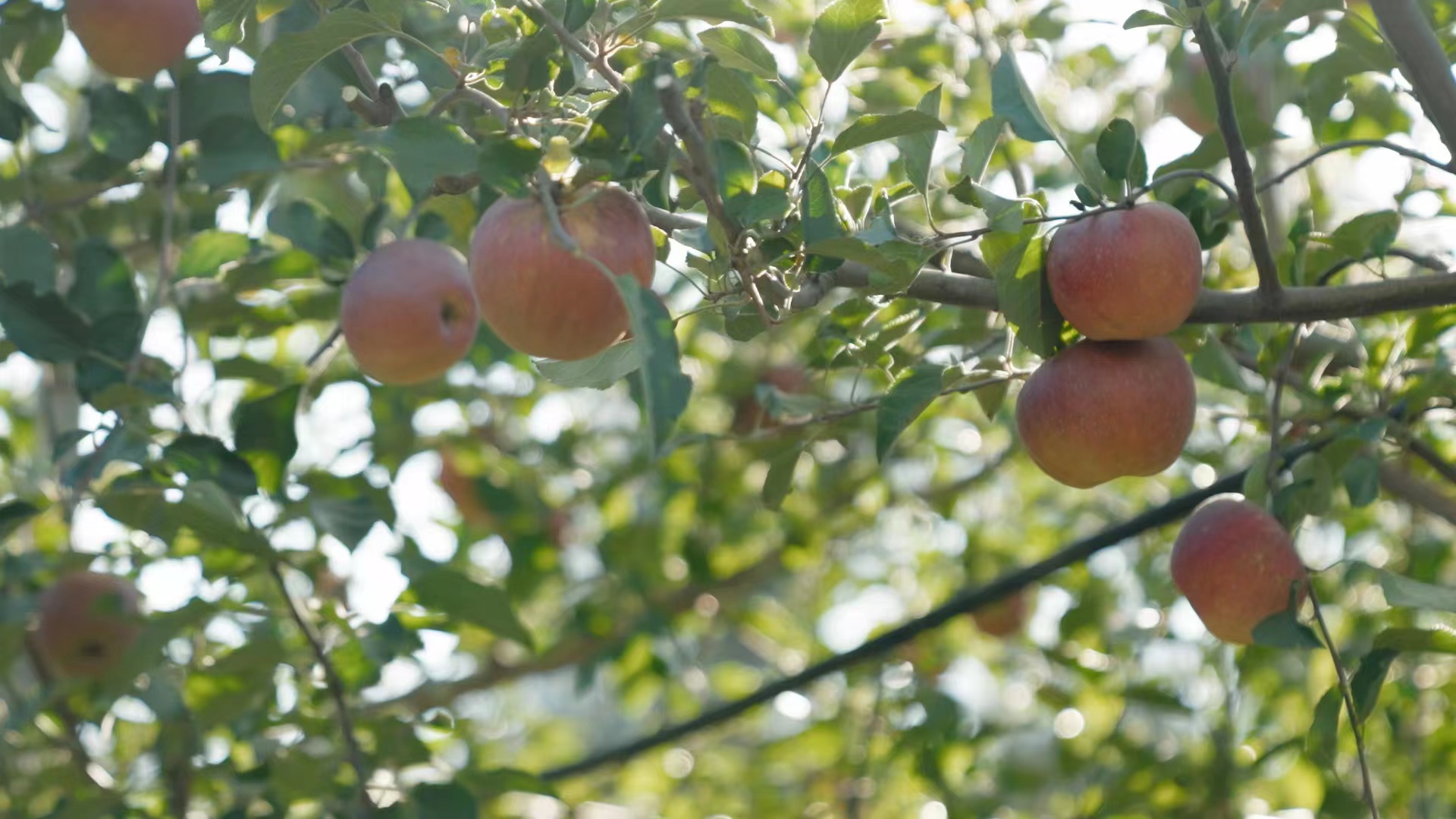 e56733a30b8171040bfccb21a368c13