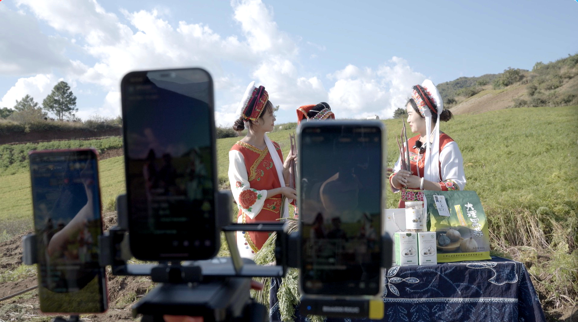 50553315c340d765bf8b70a70e536a9