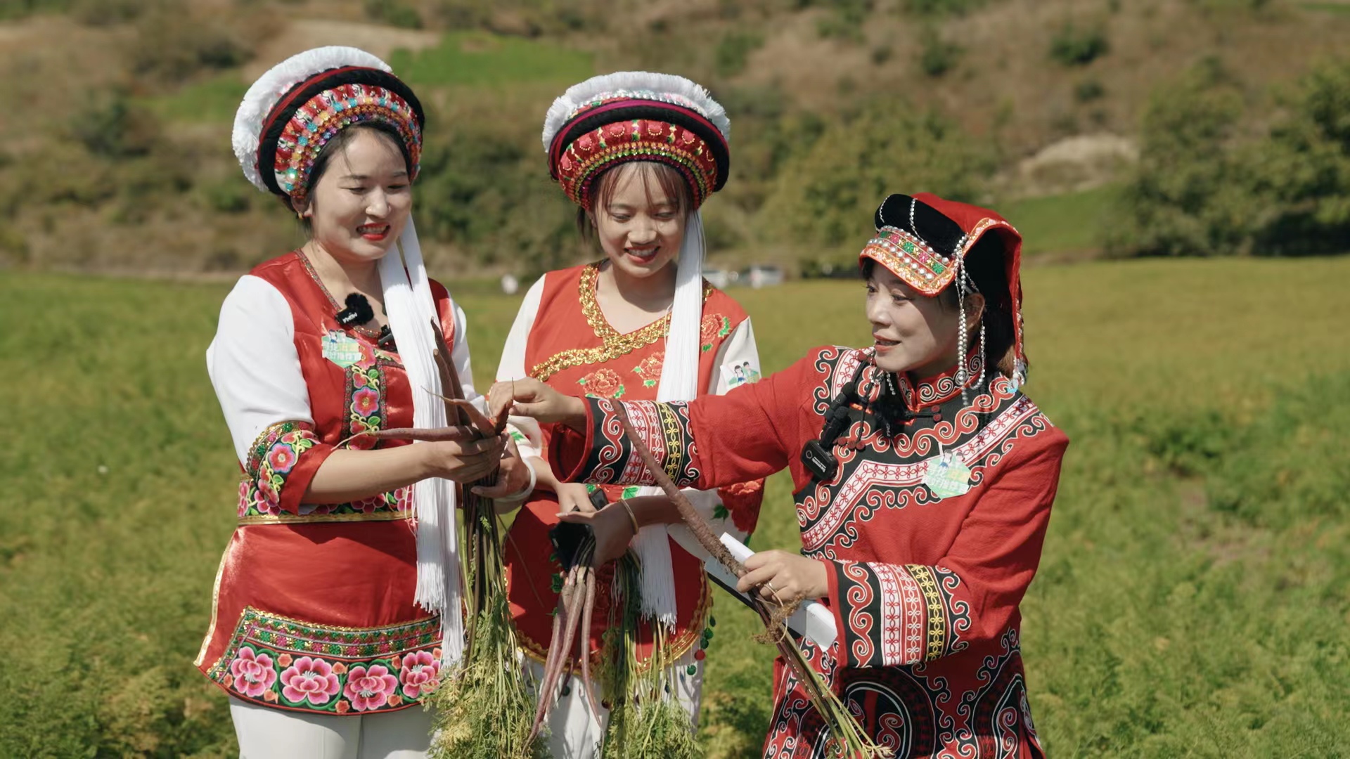 b56372b9c8b3fc6911d0a7cef9a08fd