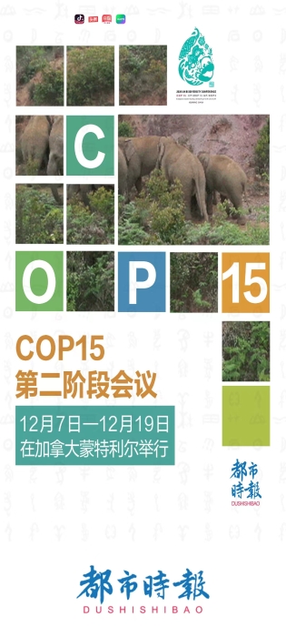 微信图片_20221214174906