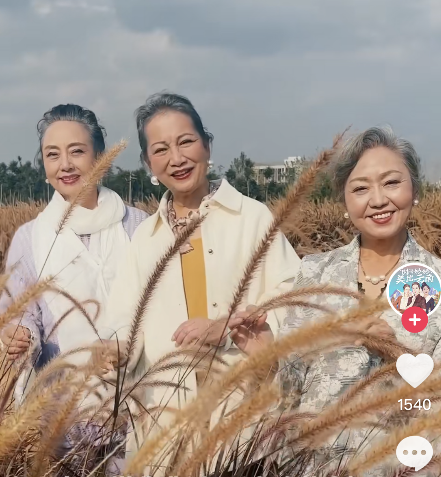 QQ截图20221216103902