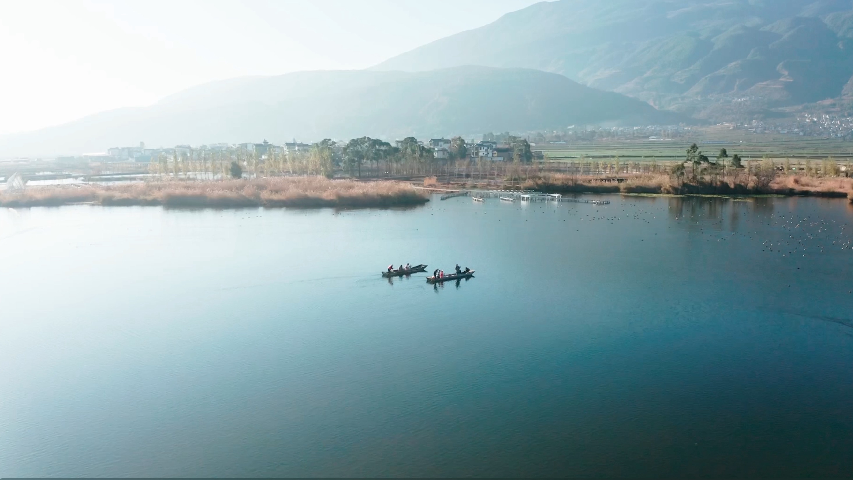 477b5430a455af168cae94981d5b691