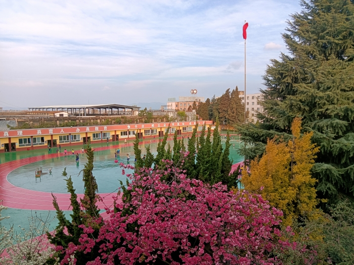 校园景致 校园景致