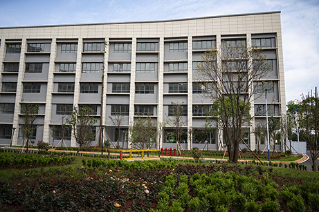 DSC08689 拷贝 DSC08689 拷贝