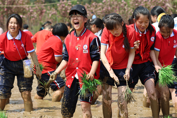 校外实践活动 校外实践活动