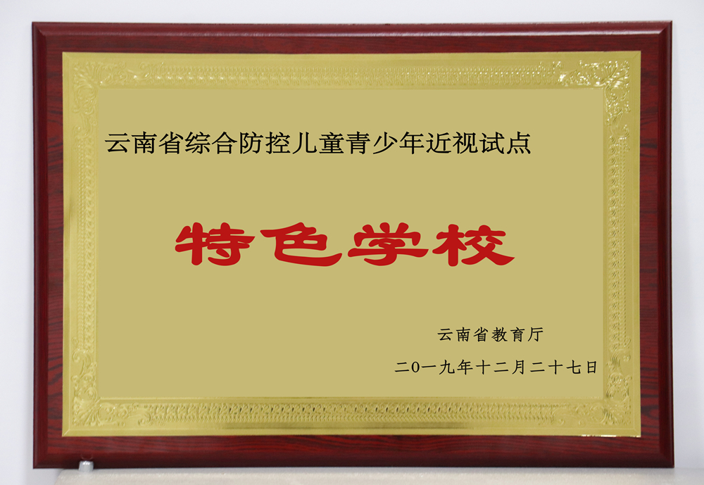 2-云南省近视试点特色学校_副本