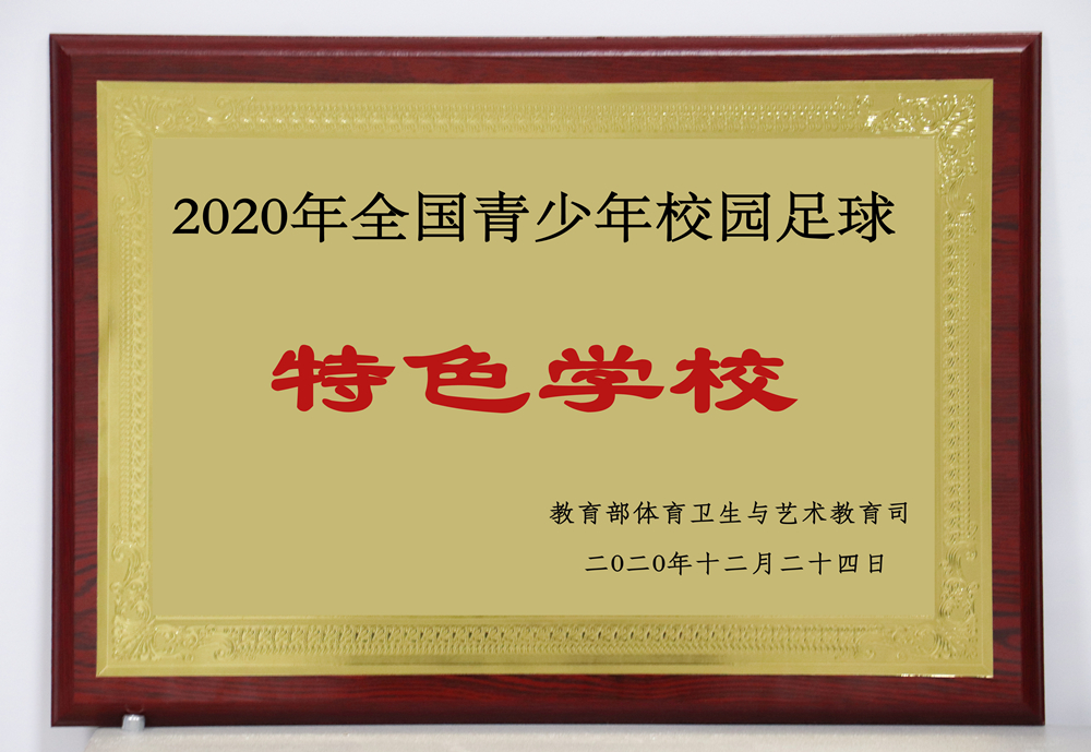 2020年全国青少年校园足球特色学校