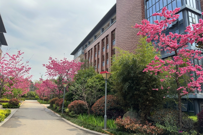 bad1ede4dd2f111aa3616e0413bff65 bad1ede4dd2f111aa3616e0413bff65