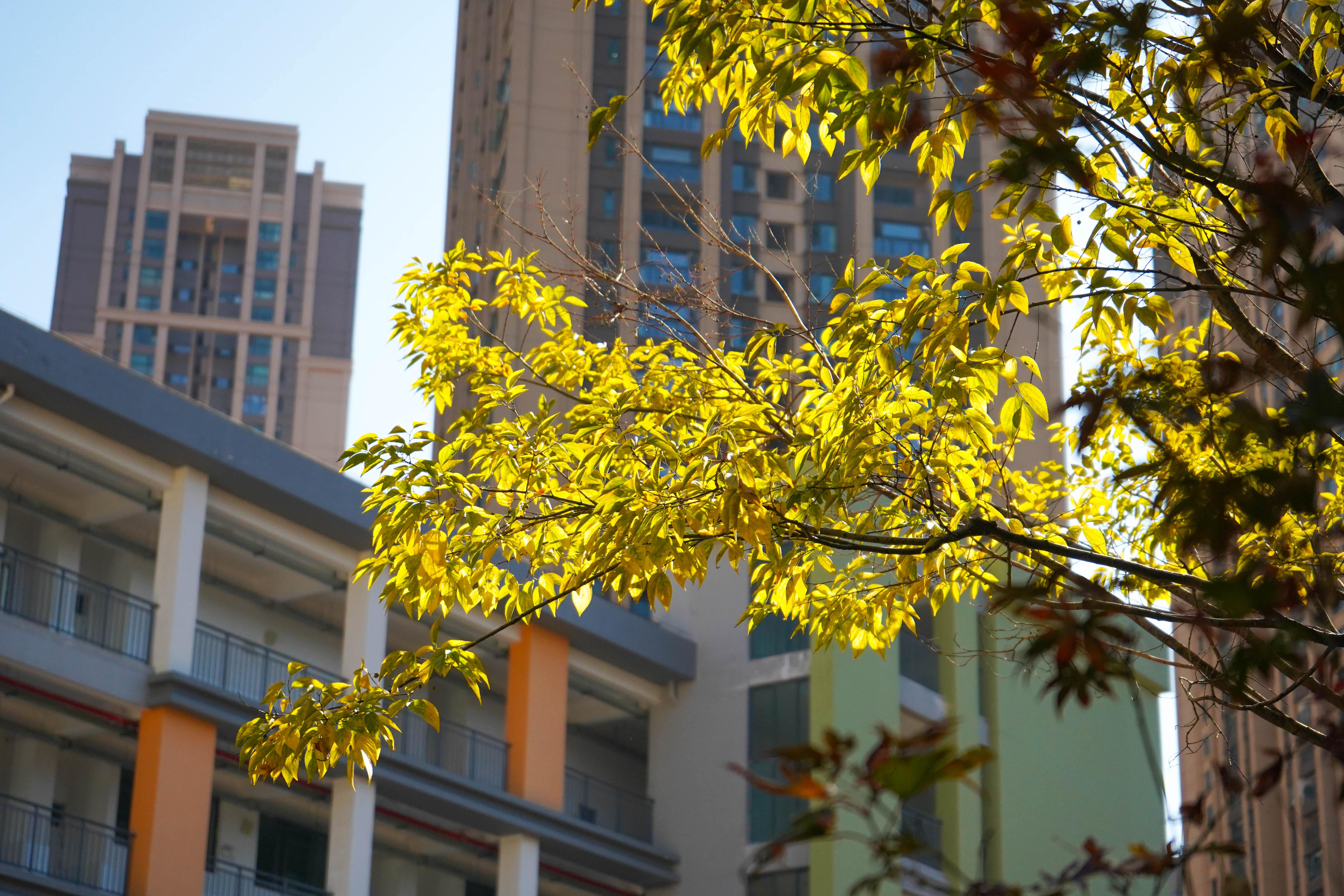 微信图片_20230410190942