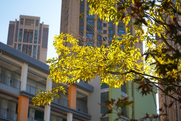 微信图片_20230410190942 微信图片_20230410190942