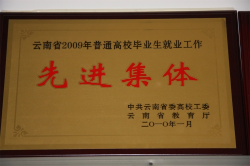 2009年就业工作先进奖 2009年就业工作先进奖