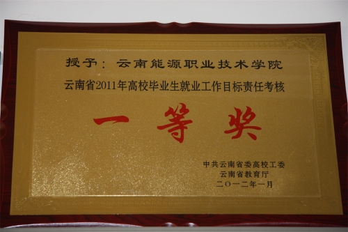 2011年就业工作先进奖 2011年就业工作先进奖