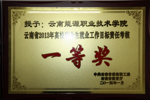 2013年就业工作一等奖 2013年就业工作一等奖