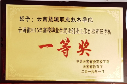 2015年就业工作一等奖 2015年就业工作一等奖