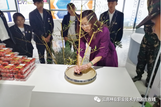 云南省“国家高层次人才特殊支持计划”教学名师- 云南省“国家高层次人才特殊支持计划”教学名师-