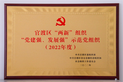 4 “两新”组织“党建强、发展强”示范党组织