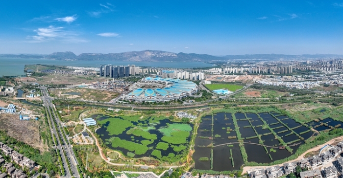 1五甲塘湿地公园 王正鹏 摄2023.5.23 DJI_0878 (1) 1五甲塘湿地公园 王正鹏 摄2023.5.23 DJI_0878 (1)