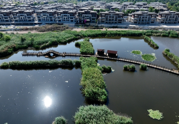 1五甲塘湿地公园 王正鹏 摄2023.5.23 DJI_0878 (7) 1五甲塘湿地公园 王正鹏 摄2023.5.23 DJI_0878 (7)