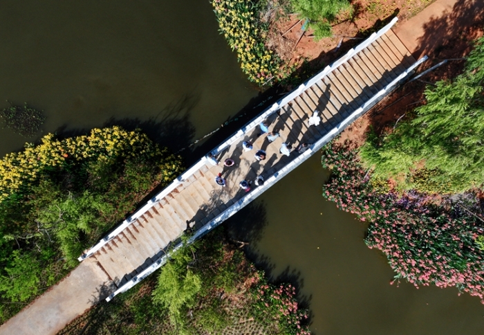 1五甲塘湿地公园 王正鹏 摄2023.5.23 DJI_0878 (8) 1五甲塘湿地公园 王正鹏 摄2023.5.23 DJI_0878 (8)