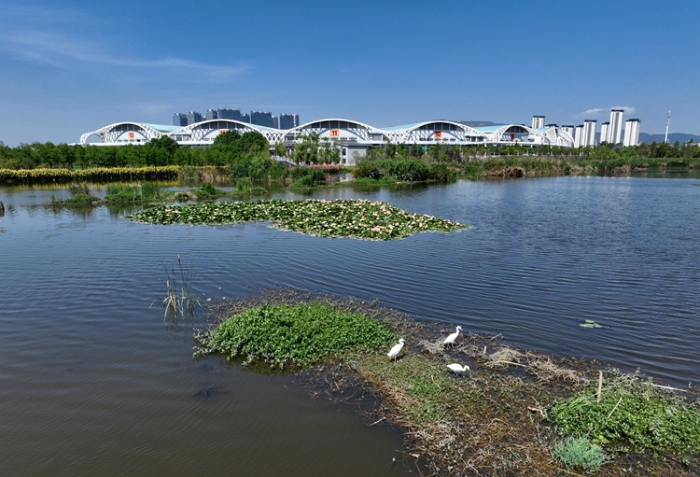 1五甲塘湿地公园 王正鹏 摄2023.5.23 DJI_0878 (12) 1五甲塘湿地公园 王正鹏 摄2023.5.23 DJI_0878 (12)