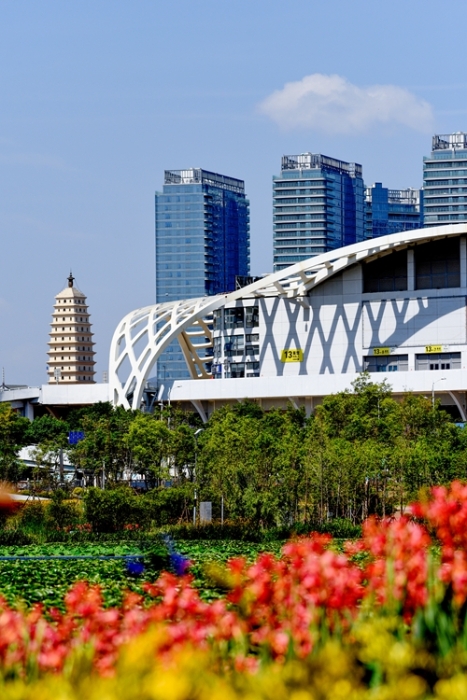 1五甲塘湿地公园 王正鹏 摄2023.5.23 DJI_0878 (33) 1五甲塘湿地公园 王正鹏 摄2023.5.23 DJI_0878 (33)