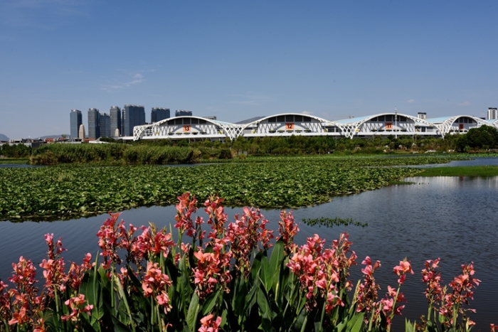 1五甲塘湿地公园 王正鹏 摄2023.5.23 DJI_0878 (34) 1五甲塘湿地公园 王正鹏 摄2023.5.23 DJI_0878 (34)