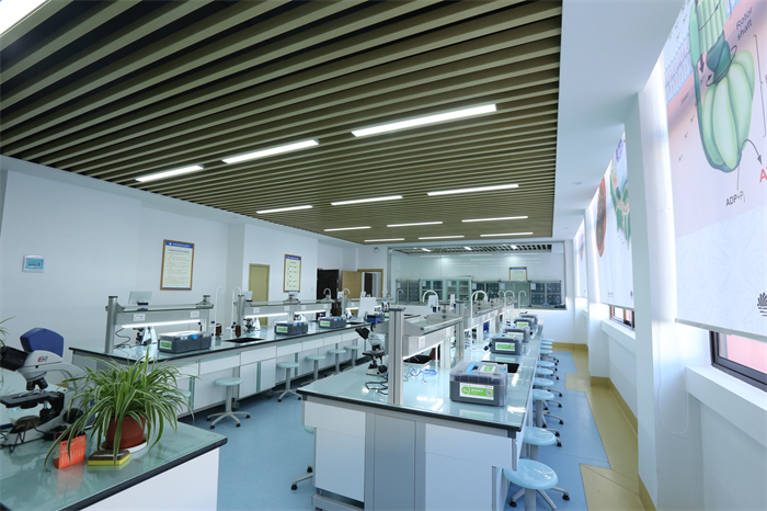 数字化生物实验室