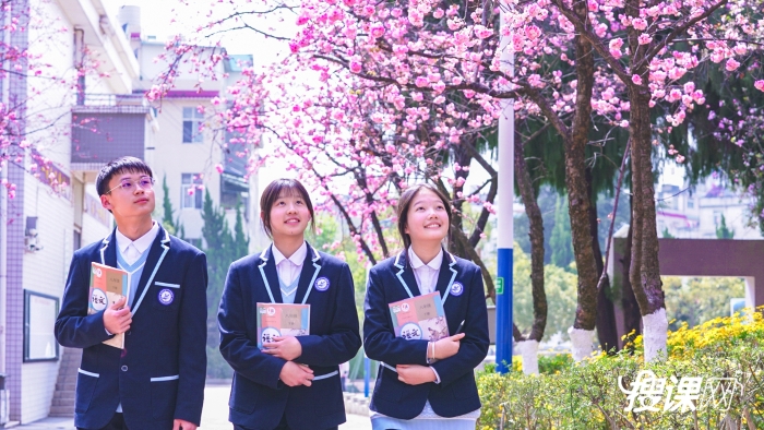 2023昆二十四中樱花_1.1.1