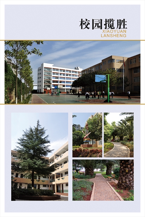 校园风光 校园风光