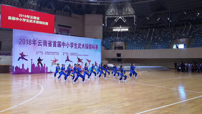 武术比赛 武术比赛