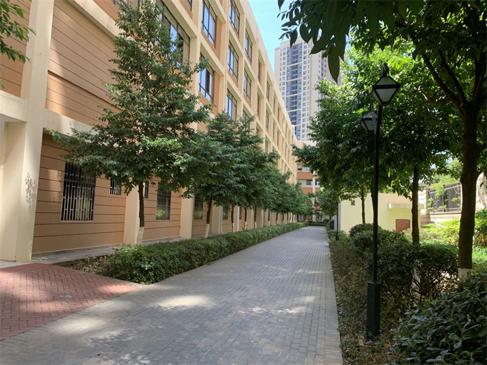 走进校园7 走进校园7