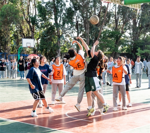 办学特色6 办学特色6