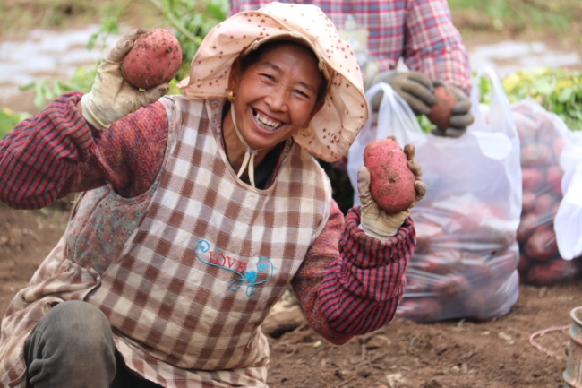 68684c20-2cfd-4c5c-8757-1f3f977225e7