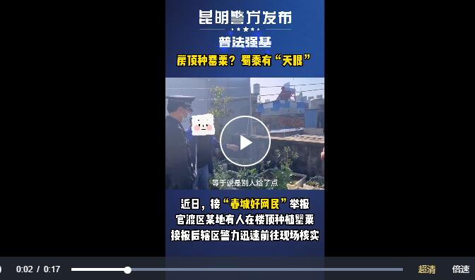 QQ截图20230630104049 QQ截图20230630104049