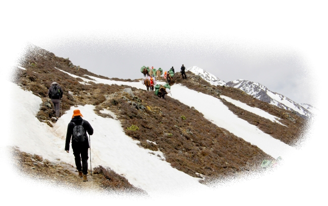 05b6fdd7-b4a0-45b6-b0a4-00d27b4f6638 05b6fdd7-b4a0-45b6-b0a4-00d27b4f6638