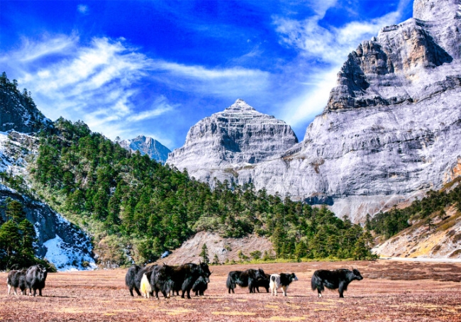 a82db149-ab35-4d55-be46-c488b7887ae1 a82db149-ab35-4d55-be46-c488b7887ae1