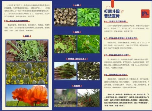 QQ截图20230717173310