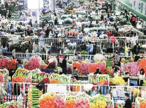 f32e1e144ba0f215ef6884ccefe20001