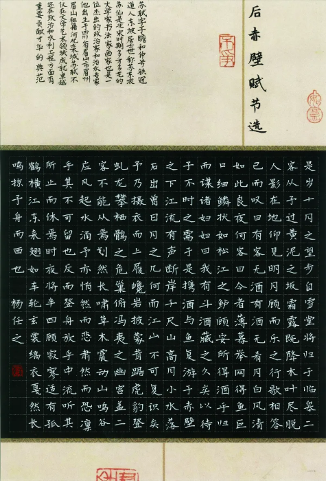 中学组 杨任之 中学组 杨任之