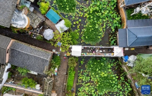 iShot_2025-08-05_09.47.36 iShot_2025-08-05_09.47.36