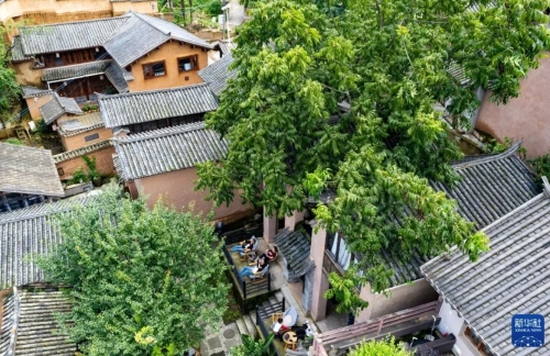 iShot_2025-08-05_09.47.43 iShot_2025-08-05_09.47.43