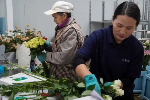 iShot_2025-09-17_14.37.54 iShot_2025-09-17_14.37.54