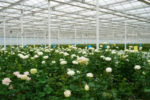 iShot_2025-09-17_14.37.58 iShot_2025-09-17_14.37.58