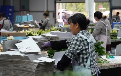 iShot_2025-09-17_14.38.05