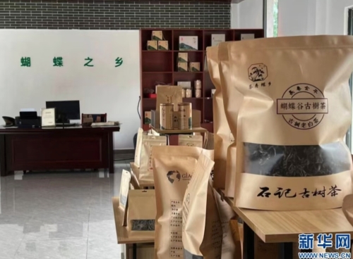 iShot_2025-11-05_10.37.52 iShot_2025-11-05_10.37.52