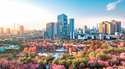 iShot_2025-11-14_10.56.49