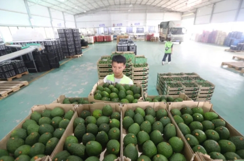 iShot_2026-01-14_10.10.18