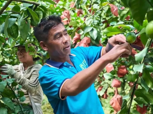 iShot_2026-01-14_10.10.28