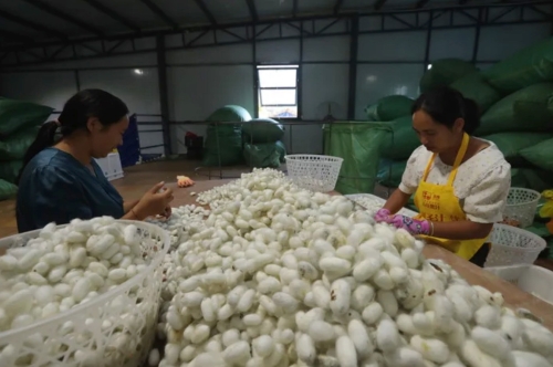 iShot_2026-01-14_10.10.33