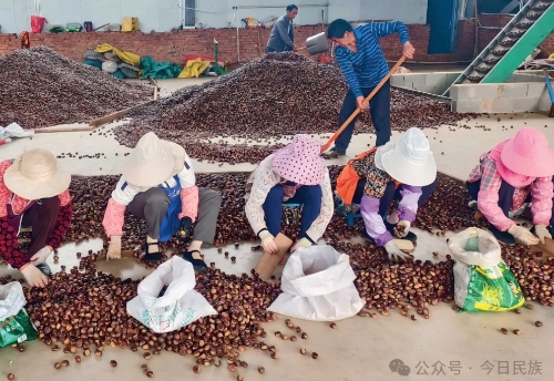 iShot_2026-01-14_10.14.35